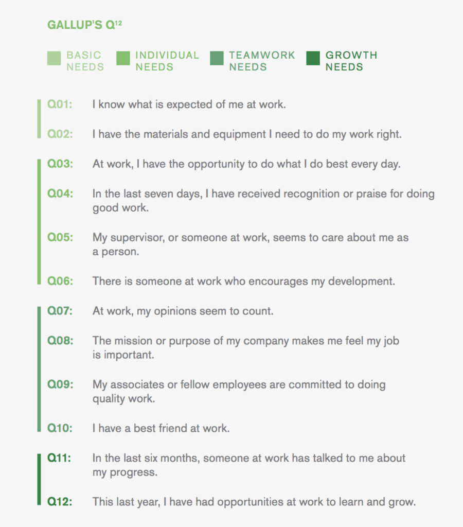 gallup's q12 findings on employee engagement