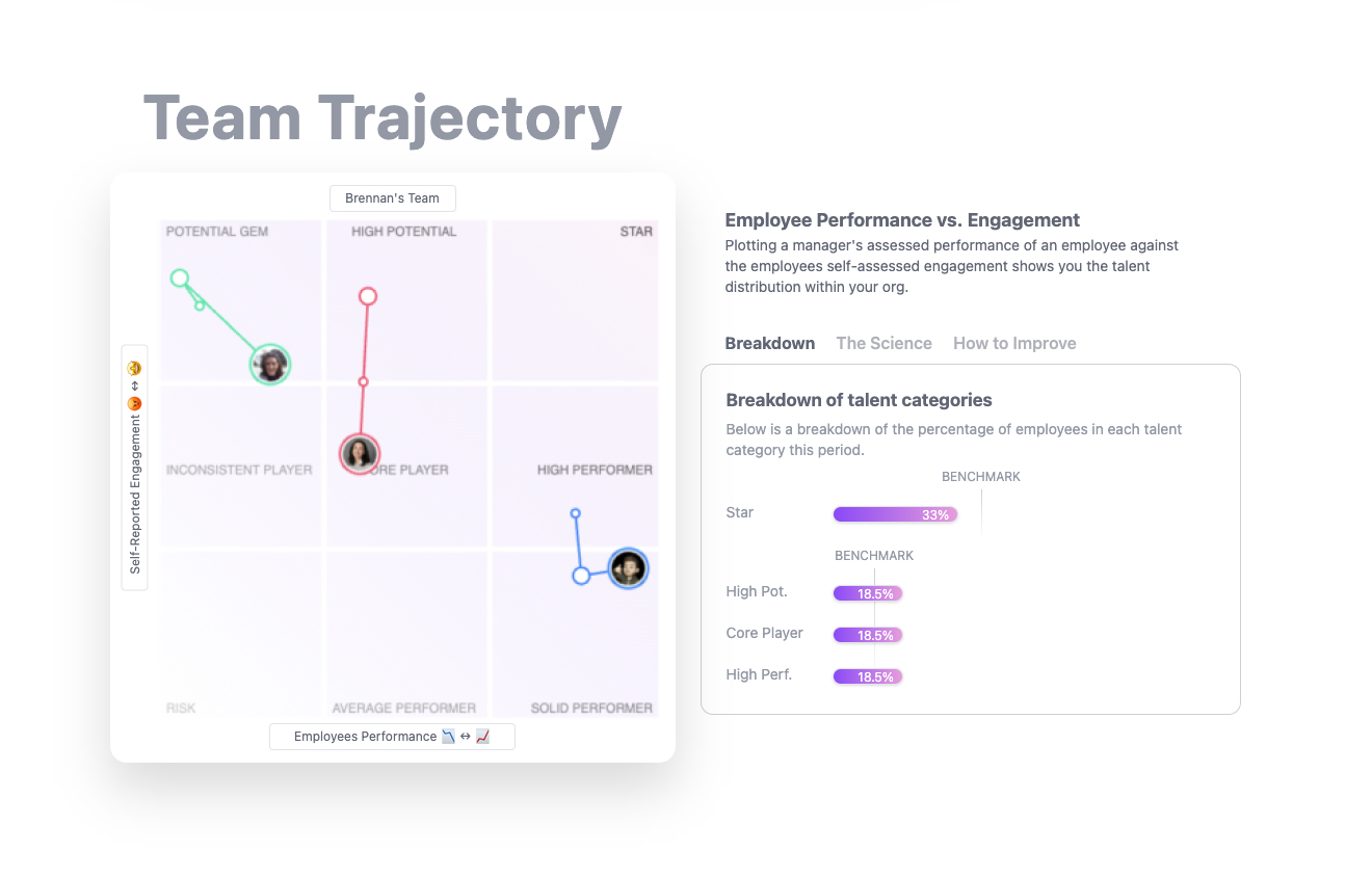 Manager based 9box reporting